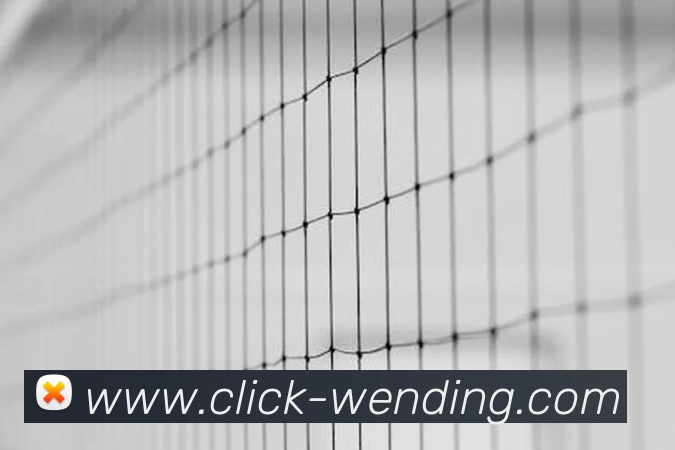 问鼎娱乐下载发展历程